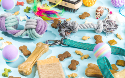 Homemade Pet Toys: Simple DIY Projects for Your Furry Friends