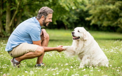 Training Tips for New Pet Owners: Strengthening the Bond with Your Pet